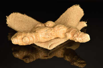 Ripe ginger root, close-up, on a black background.