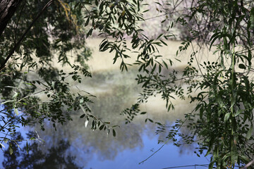 Reflejo Paisaje rio Manzanares El Pardo