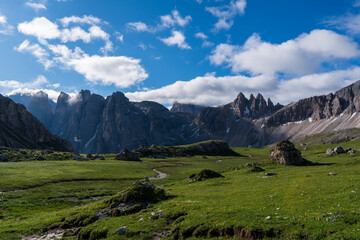 Incredible nature landscape in Dolomites Alps. Spring blooming meadow. Flowers in the mountains. Spring fresh flowers. View of the mountains. Panorama of Dolomites, Italy. Daisy flowers.