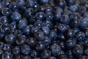 Fresh juicy wild blueberries close up