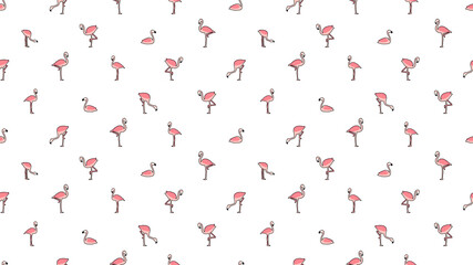 Bird seamless pattern, Flamingo on white wallpaper. 