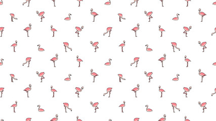 Bird seamless pattern, Flamingo on white wallpaper. 