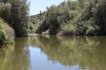 Fototapeta na wymiar Reflejo Paisaje rio Manzanares El Pardo