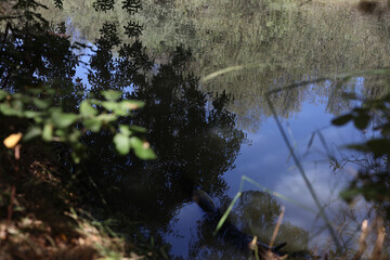 Reflejo Paisaje rio Manzanares El Pardo