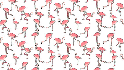 Bird seamless pattern, Flamingo on white wallpaper. 