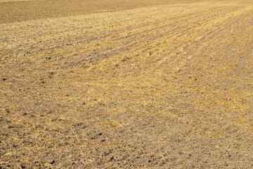 sommerliche Eifel bei Welling