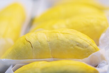 Close up of Fresh Durian Fruit on foam package thai street food market