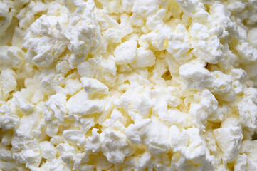 photos of delicious white cottage cheese
