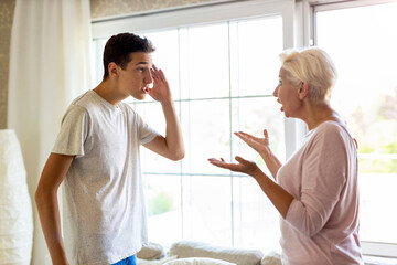 Mother and her son arguing at home
