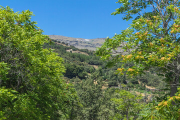 Fototapeta na wymiar high mountains of the Sierra Nevada mountain range