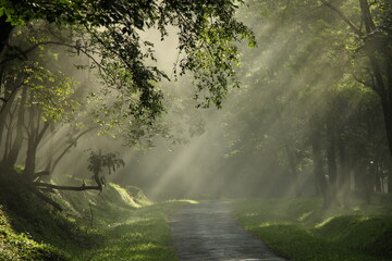 PARAMBIKULAM TIGER RESERVE