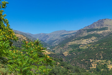 Naklejka premium high mountains of the Sierra Nevada mountain range