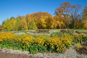 Naklejka premium Autumn landscape in Tsaritsyno Park. Moscow, Russia