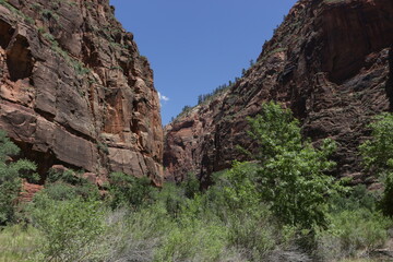 Trails in Zion National Park, Utah