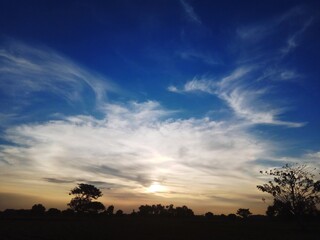 sunset over the field