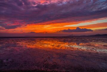 붉게 타들어가는 갯벌