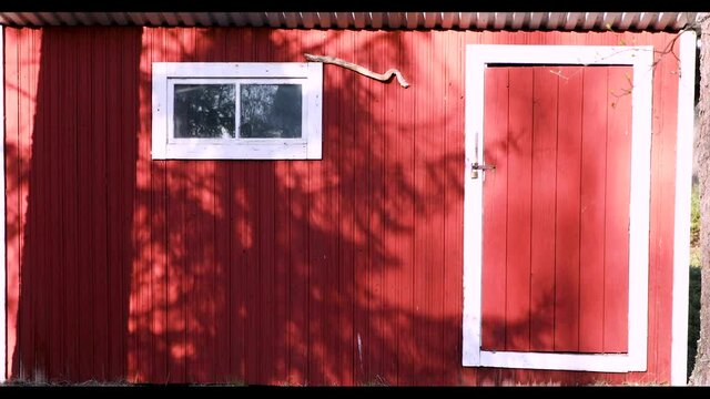A small red barn with shadows of a large tree and another small one 