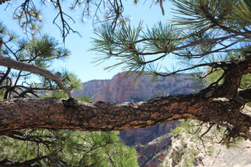 Angel's Landing Trail, Zion National Park, Utah