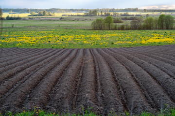 Spring landscape with freshly dug agricultural field with furrows