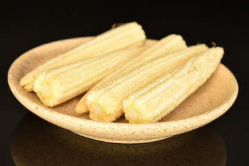 Ripe sweet ears of mini corn, close-up, isolated on black.