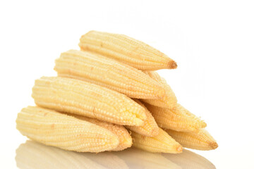 Ripe sweet mini corn cobs, close-up, isolated on white.