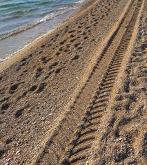 Tracce sulla sabbia