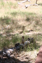 Exploring Zion National Park in summer