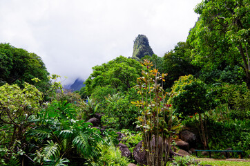 Iao Needle is a landmark rock ledge inside Iao Valley State Park with lush evergreen rainforest...