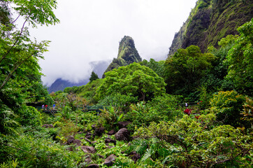 Iao Needle is a landmark rock ledge inside Iao Valley State Park with lush evergreen rainforest...