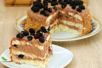 Beautiful sponge cake decorated with chocolate cream and mulberry berries