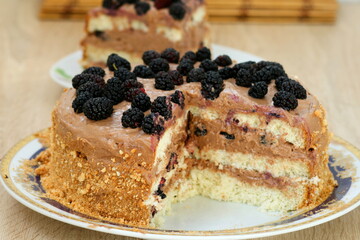Beautiful sponge cake decorated with chocolate cream and mulberry berries