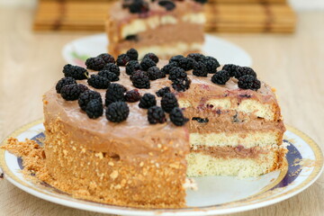 Beautiful sponge cake decorated with chocolate cream and mulberry berries
