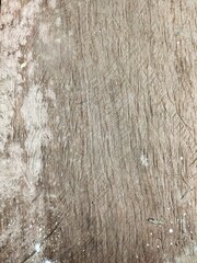 old wood texture
