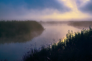 Fototapeta na wymiar Kolorowy poranek z mgłami w Dolinie Narwi, Podlasie, Polska