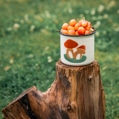 Fresh yellow cherries in a white mug on wooden texture on a green grass background in the garden. Selective focus. The concept of gardening.