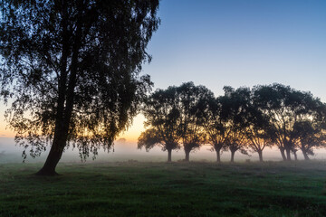 Kolorowy poranek z mgłami w Dolinie Narwi, Podlasie, Polska