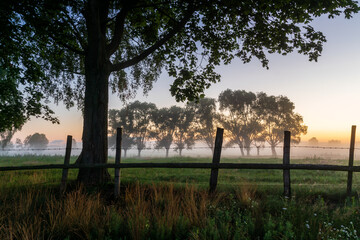 Kolorowy poranek z mgłami w Dolinie Narwi, Podlasie, Polska