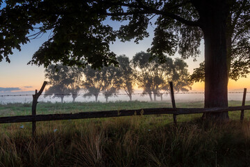 Kolorowy poranek z mgłami w Dolinie Narwi, Podlasie, Polska
