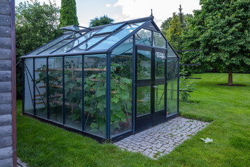  small greenhouse stands in a garden
