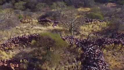 ancient ruins on an African Mapungubwe site mountain with stone walls dry grass and trees added grain noise out of focus