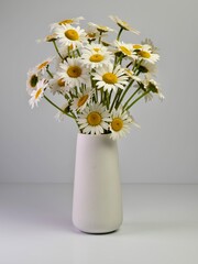 White ceramic vase full of fresh cut daisy flowers on an all white background.  Nature brought inside for still life photography picture.