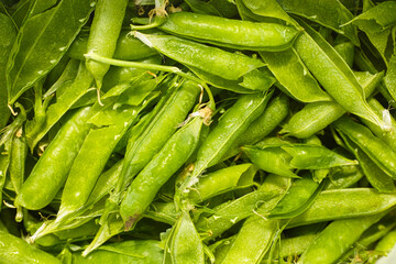 Empty open green pea pods.