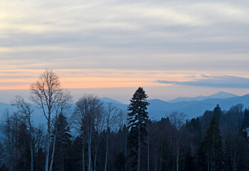 Colorful clouds over the mountains and the forest