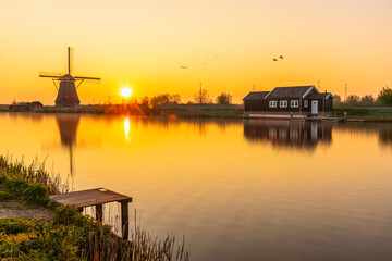 Fototapeta na wymiar Geese flying on a typical UNESCO world heritage site of the Dutch rural landscape along of the windmill alignement silhouettes at the early morning sunrise in Netherlands
