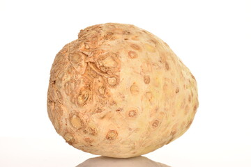 Fototapeta premium Celery root, close-up, isolated on white