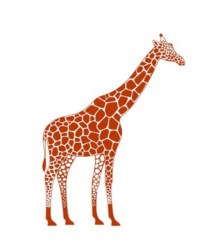 Giraffe logo. Isolated giraffe on white background