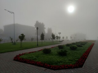street in the fog