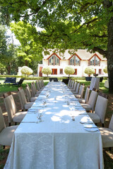 outside garden setting with tables and chairs and setting for lunch under big oak tree white 