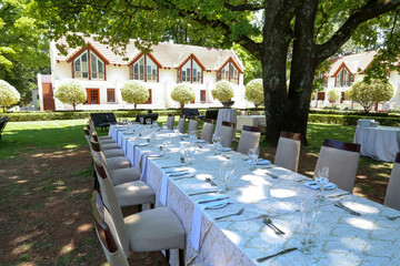 outside garden setting with tables and chairs and setting for lunch under big oak tree white 