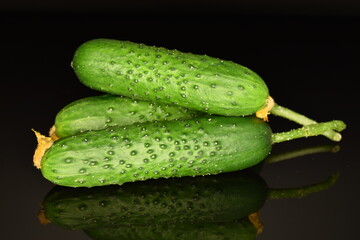 Fresh green cucumbers , close-up, isolated on black.